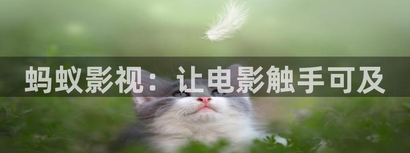 97在线观看视频理论